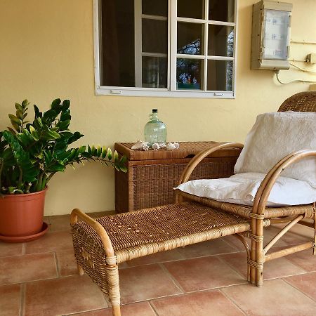 Bubali Gardens Lägenhet Palm Beach Exteriör bild
