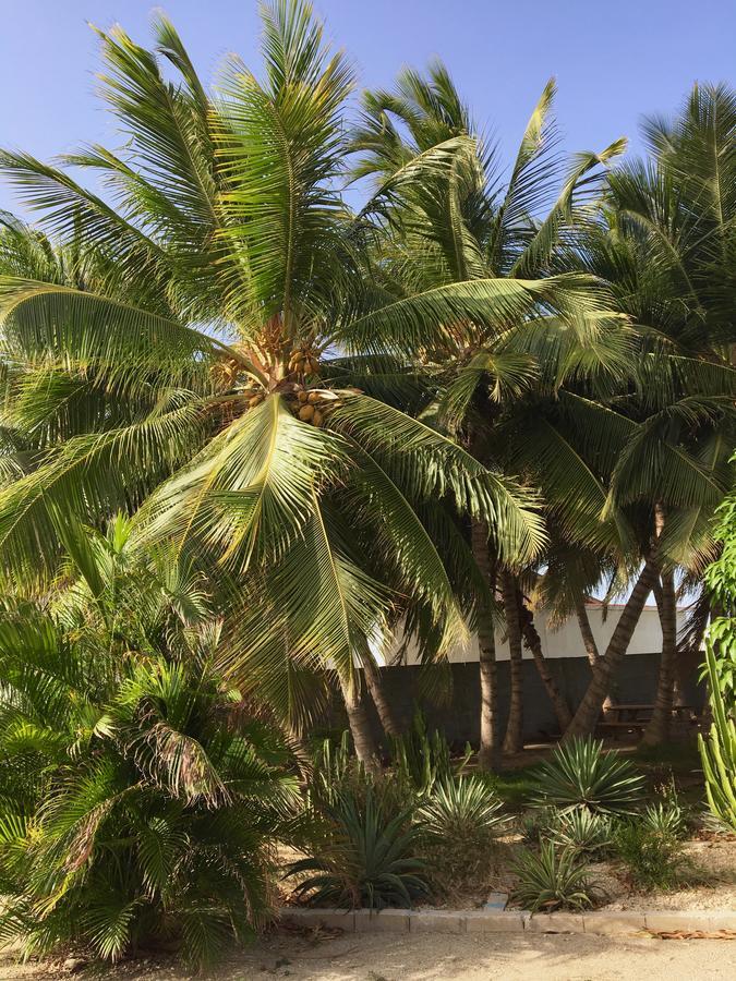 Bubali Gardens Lägenhet Palm Beach Exteriör bild